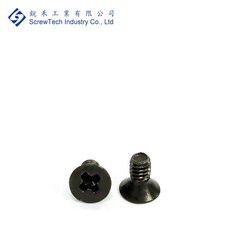 【銳禾】工廠直營 M2x4合金鋼鍍黑鋅沉頭螺絲 十字槽機械牙螺絲 精密儀器螺絲, 1個