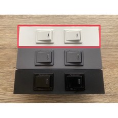 國際牌 系統櫃兩開關 迷你開關 霧黑/白/灰 (附發票)