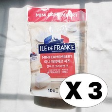일 드 프랑스 미니 까망베르 치즈 ILE DE FRANCE CAMEMBERT 코스트코 유통, 30개, 25g