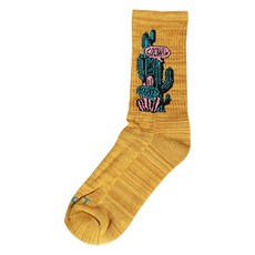 마켓 선인장 디자인 로고 디테일 양말