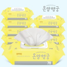 온양행궁 네이쳐 70매 10팩, 1세트, 10개입