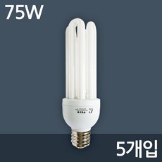 두영조명 삼파장 전구 75W E39, 전구색, 5개