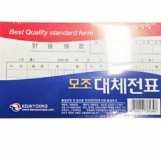 프리미엄 모조 대체전표 10개 입금표 서류양식 ang+1623xL