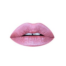 아로미 바이올렛 플럼 메탈릭 리퀴드 립스틱 | 반짝이는 마무리 비건 크루얼티 프리 오래 지속되고 번지지 않는 다크 퍼플 립 컬러 (실버 플럼), Fairy Tale