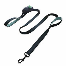 Glanzzeit 배변 봉투 홀더가 있는 1.8m(6피트) 길이의 강아지 목줄(배변 롤 포함) 튼튼한 리드 부드러운 패딩 손잡이 2개(민트 그린), 민트 그린