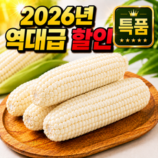 [2026년 초특가] 쫀득쫀득 국산 미백 찰옥수수 강원도 미백 찰옥수수 특품 초특가, 1박스, 특품 5개 (16센치 이상)