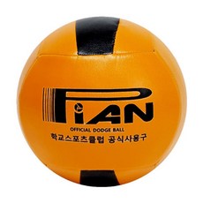 Pian 공인피구공 대한피구협회공인구, 4-2, 1개