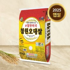 [2024년산]철원오대쌀 철원쌀 24년 햅쌀 백미 오대미 상등급, 1개, 10kg(1개)