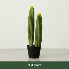 선인장 모형 다육이 사막 다육식물 카페 대형 식물 조경, 스타일 D