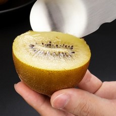 2보급창고 키위 커터기 키위수저