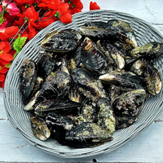 자연가득 연안 자연산 홍합 대담치 1kg 6미내외