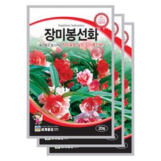 장미봉선화 씨앗 20립 겹꽃봉선화 꽃씨앗 세계종묘 모칸도, 3개