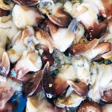 [산지직송] 여수 손질 새조개 제철 초코새조개, 1개, 검정새조개 200g