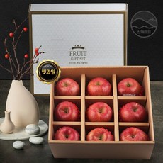 프리엄 청정 사과 햇과일 선물세트 9수 3.5kg 내외 추석 명절 단체 선물