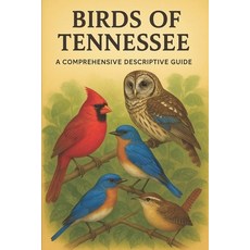 (英文圖書)Birds of Tennessee: A Comprehensive Descriptive Guide 平裝版, Independently Published, 英文
