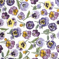 팬지 냅킨 5장 K-11-034