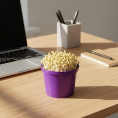 어린이 콩나물 재배키트 관찰학습 과학실험 새싹채소 키우기, 1개