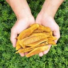 국산 농장직송 장수상황버섯 100g 절편