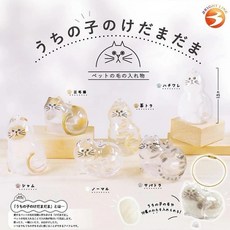 FUZZY 日本 貓毛收集扭蛋 透明收納盒 鑰匙扣 紀念品, 1個
