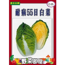 【野菜部屋~】G05 耐病55日白菜種子, 1包
