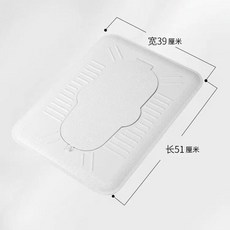 蹲便器蓋闆厠所密封蓋防臭蓋堵臭器衛生間通用免打孔蹲坑蓋闆蹲厠, 經典防臭蓋闆-加厚8MM 承重150KG, N/A