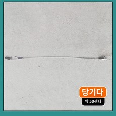 거미 도마뱀 박스 투명 플라스틱 거북이 파충류 사육 수조 학습 키우는통 생물 대형, 은장고무줄