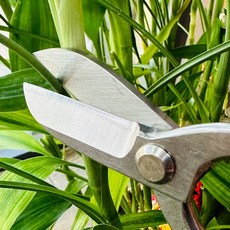 源 專業花藝剪 日本製造 不鏽鋼, 詳見包裝