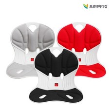 프로텍메디칼 바른자세 지킴이 펠비신 체어 좌식 보조 자세교정의자 방석 등받이, 레드