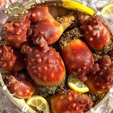 [실패없는 횟감용 활 멍게]국내산 통영 횟감용 활멍게 산지직송 안깐멍게 꽃멍게 생물, 1개, 로얄 횟감용 활멍게 소 1kg(12~15미)