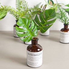 몬스테라 유칼립투스 조화 화병 레터링 그린 Aset 23cm (DIY) 11타입 인테리어 테이블 장식 소품 꾸미기, 베이비고사리, 1개