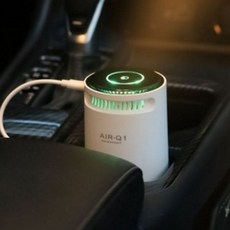 음이온 차량용공기청정기 미세먼지 미니 차량용공기청정기 소형 차량 실내 냄새, 본상품선택