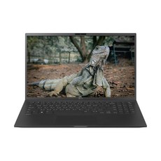 LG전자 그램 Pro 16 코어 울트라5 RTX3050, 옵시디안 블랙, 4TB, 16GB, WIN11 Home, 16Z90SP-EA5BK