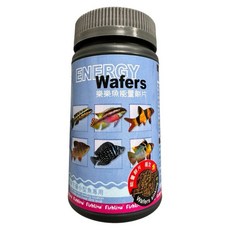 Fishlive 樂樂魚 能量餅片 緩沉飼料, 1個, 能量餅片/11號/緩沉(小粒)280ml
