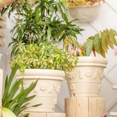 晨間香氣 歐式陶盆風格 底部吸水 室內裝飾 樹脂花盆, 米色, 1個