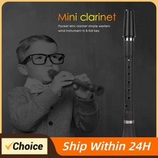 미니 플랫 클라리넷 캐리어 전문가용 타이로 목관악기 연습용 장비, 1개, 기본, 기본