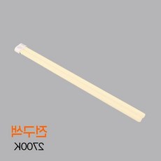 전구색 필립스 수공구 램프 55W 830 4P PL, 본상품