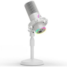 BASN USBXLR 다이내믹 마이크로폰 팟캐스트 라이브 스트리밍 게임 녹음용 RGB 무음 버튼 헤드폰 모니터링 및 마이크 스탠드 포함 SL2000 검정, White