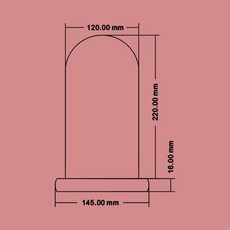 永生花玻璃防塵罩展示盒 手辦裝飾桌面擺件 工藝品 圓柱形展示盒, 1個