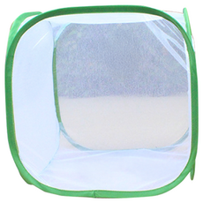 透明網紗昆蟲飼養籠，摺疊收納透氣網籠，多尺寸選擇，昆蟲飼養箱, 昆蟲飼養箱 方形 30x30cm, 1個