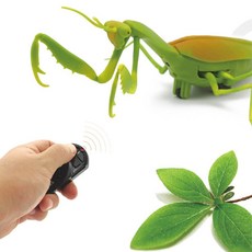 빅사이즈 사마귀 무선조정 RC 원격 장난감 무선RC카 아동용선물 취미, 1개