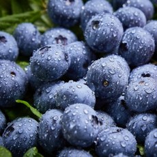 [끝달림 최상품] 26년 햇블루베리 국내산 무농약 친환경 생 블루베리 250g 500g 1kg, 1개, 2번 대과 (16mm내외) 250g*2팩