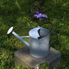 빈티지 양철 물조리개 주전자 철제 뿌리개 소품 원예, 구아연색 W12105 3.5L, 1개