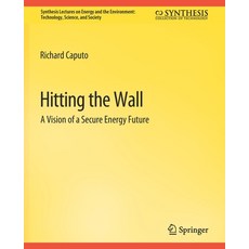 (영문도서) Hitting the Wall: A Vision of a Secure Energy Future Paperback, Springer, English, 9783031794223