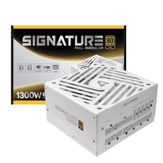 AONE 시그니처 1300W 80PLUS 골드 풀모듈러 ATX 3.1 화이트 PC 파워, 시그니처 1300W GOLD  WH