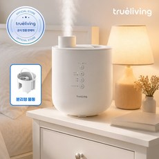 트루리빙 가열식 스팀 통세척 대용량 가습기 TL-HU0240W, 기본색상