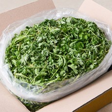 향긋한 국내산 거문도 해풍맞은 쑥, 1개, 1kg