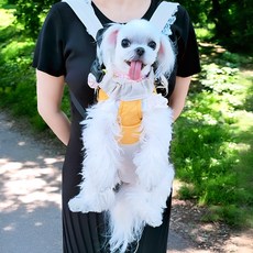 포오포오 애견 강아지 이동가방 슬링백 백팩, 1개, 블루