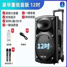 DY-607W 버스킹앰프+색소폰마이크 이동식 포터블 기타 반주기스피커, D. 12 인치  듀얼 마이크