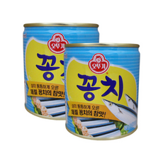 오뚜기 꽁치, 280g, 2개