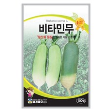 비타민무 씨앗 무 씨 종자 100립, 1개